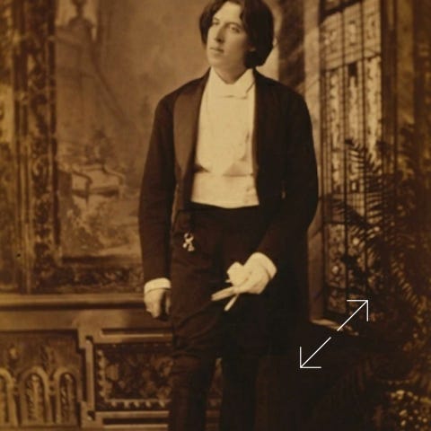 Oscar Wilde 1882 Number 17 by Sarony