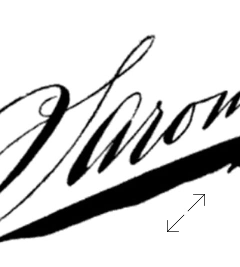 Napoleon Sarony Signature