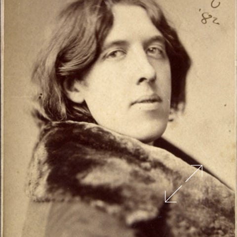 Oscar Wilde 1882 Number 19 by Sarony