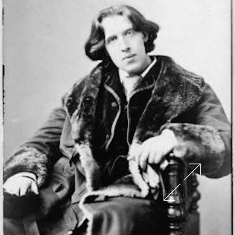 Oscar Wilde 1882 Number 6 by Sarony